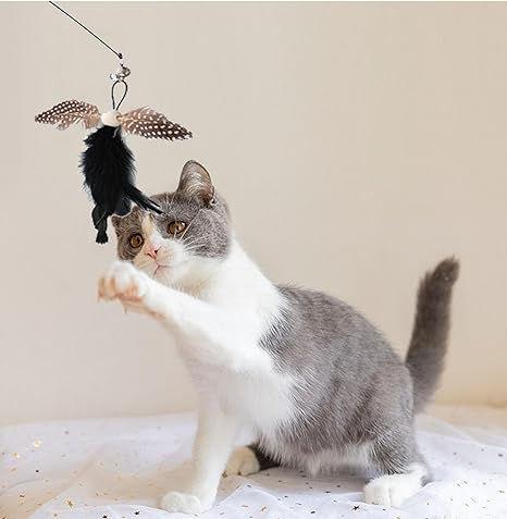 Cat Feather Toys, Indoor Cat Interactive Toys