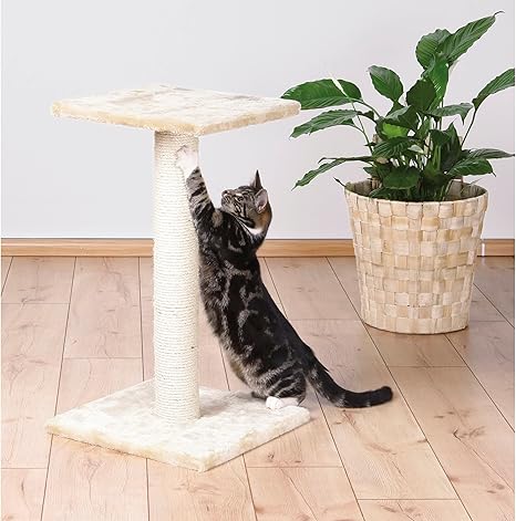 Plush cat scratching post platform