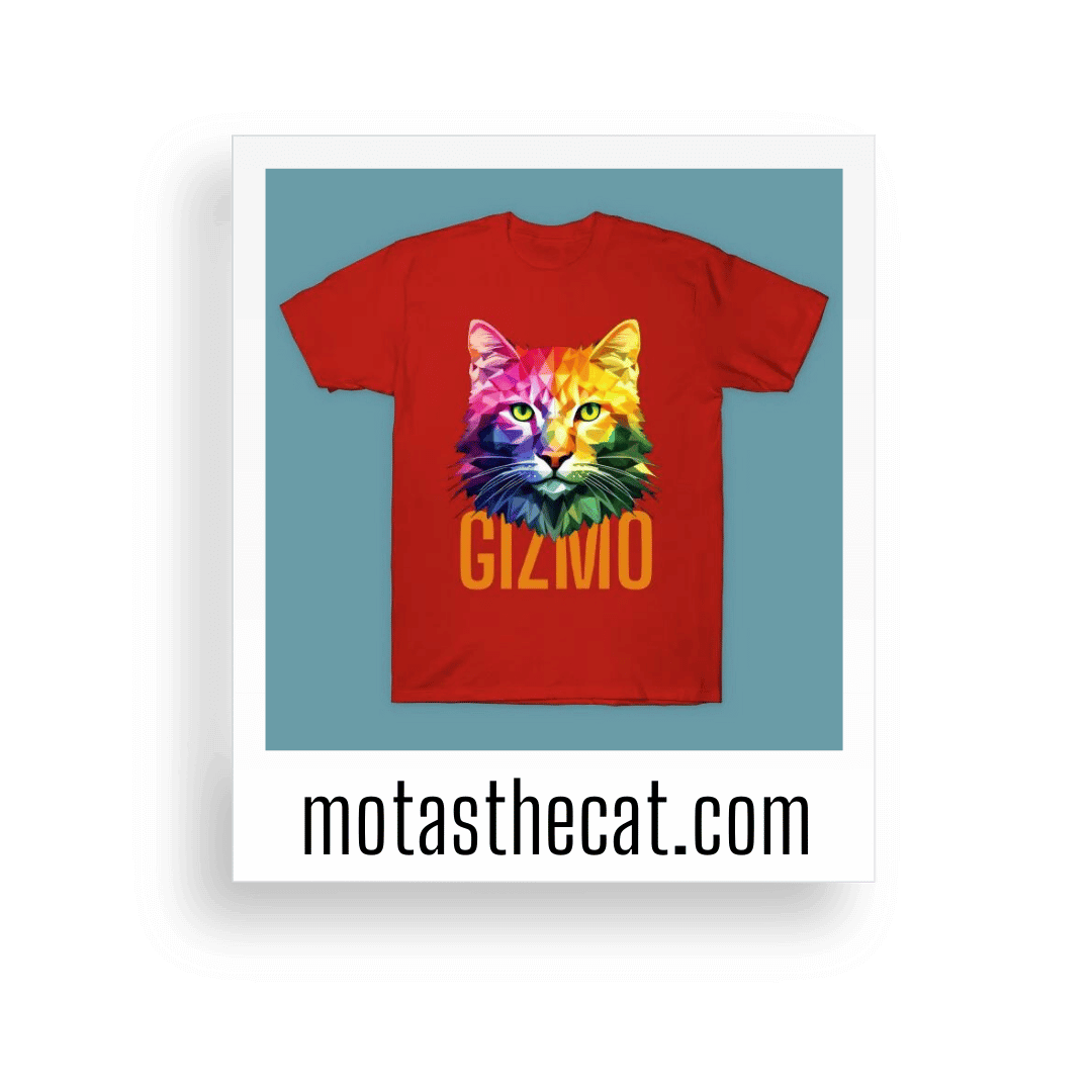 gizmo t-shirt orange