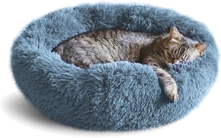 Whiskers & Friends Cat Bed